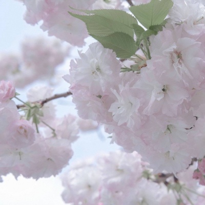 兽设家庭场景设计兽圈群